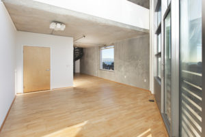 Hawthorne Place Penthouse #1306